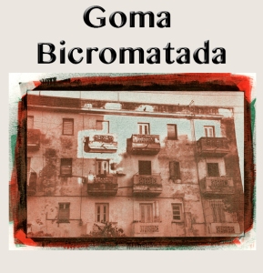 Icono Galeria Goma Bicromatada
